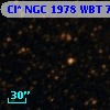 Cl* NGC 1978    WBT    7484