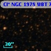 Cl* NGC 1978    WBT    7485