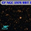 Cl* NGC 1978    WBT    7486