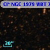 Cl* NGC 1978    WBT    7489