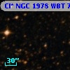 Cl* NGC 1978    WBT    7523