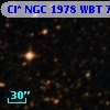 Cl* NGC 1978    WBT    7528