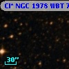 Cl* NGC 1978    WBT    7555