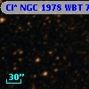 Cl* NGC 1978    WBT    7586