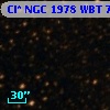 Cl* NGC 1978    WBT    7593