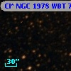 Cl* NGC 1978    WBT    7598