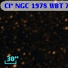 Cl* NGC 1978    WBT    7601