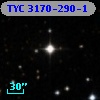 TYC 3170-290-1