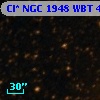 Cl* NGC 1948    WBT      41