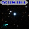TYC 3170-318-1