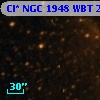 Cl* NGC 1948    WBT     235