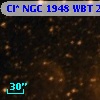 Cl* NGC 1948    WBT     244