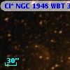 Cl* NGC 1948    WBT     313