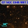 Cl* NGC 1948    WBT     317