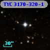 TYC 3170-320-1