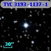 TYC 3193-1137-1
