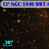 Cl* NGC 1948    WBT     469