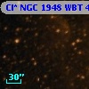 Cl* NGC 1948    WBT     497