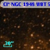 Cl* NGC 1948    WBT     523