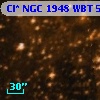 Cl* NGC 1948    WBT     557