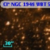 Cl* NGC 1948    WBT     562