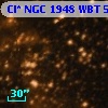 Cl* NGC 1948    WBT     563