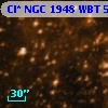 Cl* NGC 1948    WBT     569