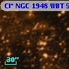 Cl* NGC 1948    WBT     586