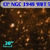 Cl* NGC 1948    WBT     595