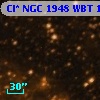 Cl* NGC 1948    WBT    1061