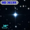 HD  36599