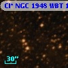 Cl* NGC 1948    WBT    1314