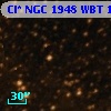 Cl* NGC 1948    WBT    1431