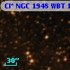 Cl* NGC 1948    WBT    1442