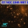 Cl* NGC 1948    WBT    1564