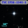 TYC 3756-1341-1