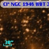 Cl* NGC 1948    WBT    2036