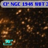 Cl* NGC 1948    WBT    2341