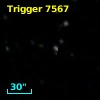 Trigger  7567