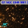 Cl* NGC 1948    WBT    2352