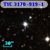 TYC 3170-919-1