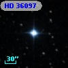 HD  36097