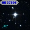 HD  37504