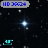 HD  36624