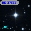 HD  37555