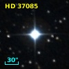 HD  37085