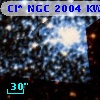 Cl* NGC 2004  KWBBE    1175