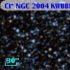 Cl* NGC 2004  KWBBE    1421