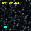 SV* DV   218