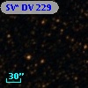SV* DV   229